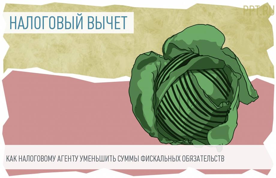 Вычеты у налогового агента: как получить
