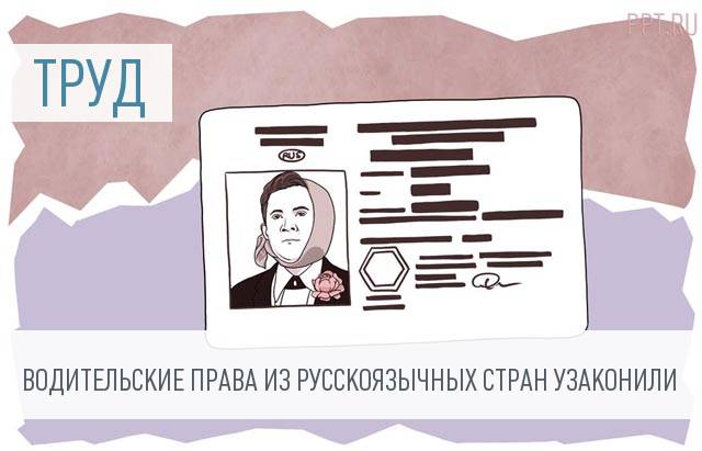Депутаты меняют условия работы иностранных водителей в РФ