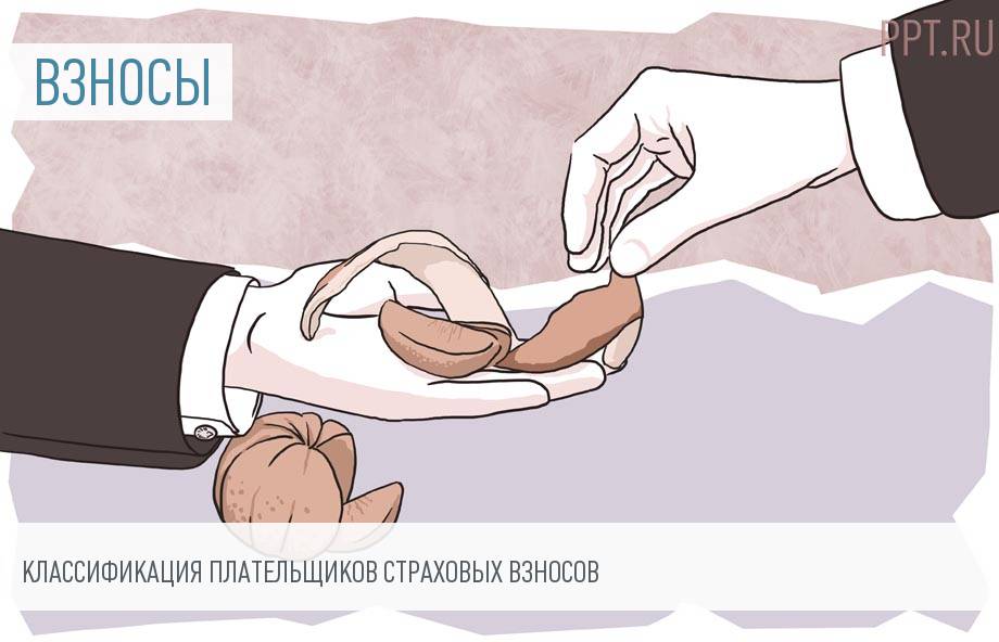 Категории плательщиков страховых взносов