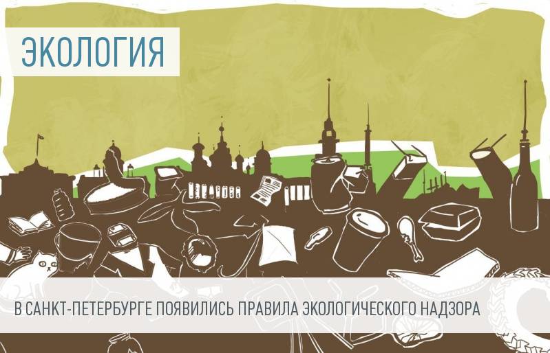 Правительство Санкт-Петербурга утвердило правила проведения экологического контроля бизнеса и граждан