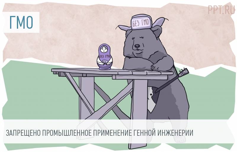 Утвердят ли закон о выращивании гмо в россии Утвердят ли закон о выращивании гмо в россии