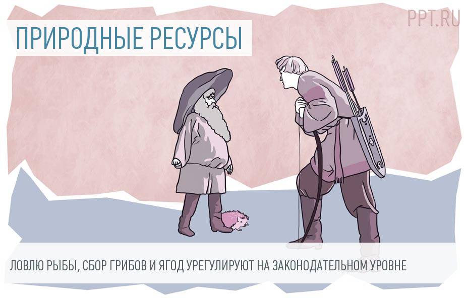 На сбор грибов и рыбалку введут ограничения