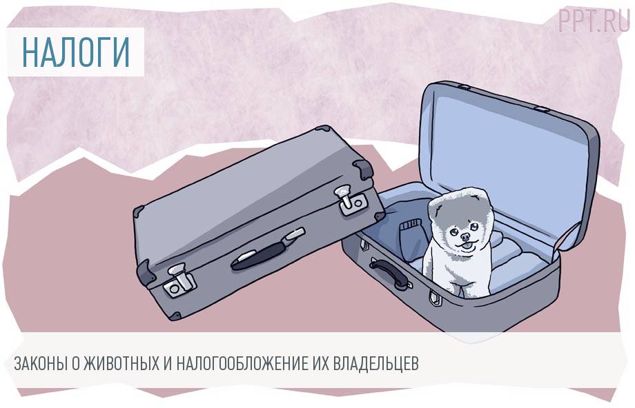 Надо ли платить налог на животных в России в 2018 году