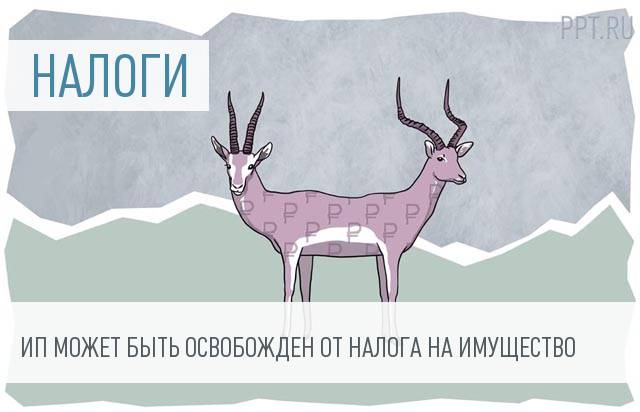 ИП может не платить налог за общее имущество
