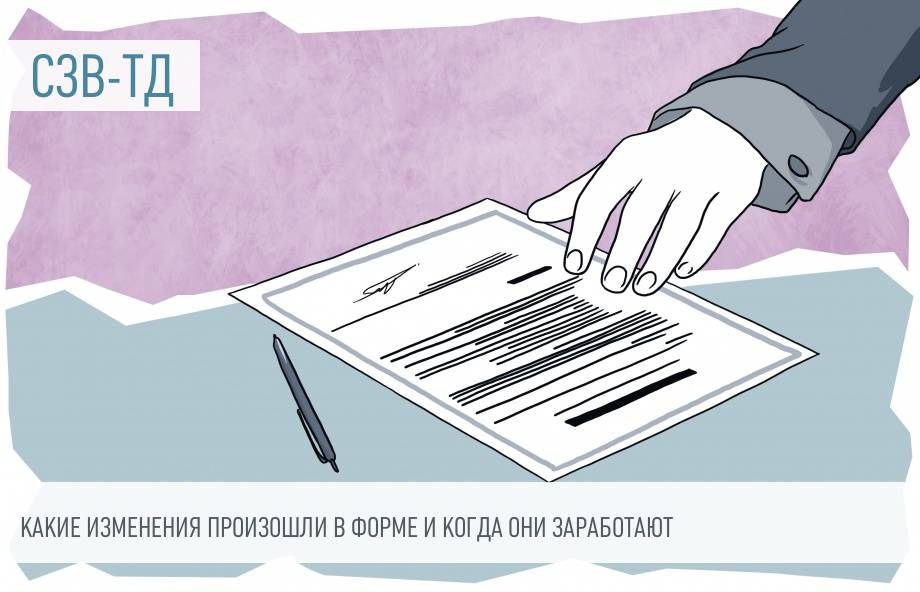 Новые Отчеты С 1 Июля 2022 Года Новые Отчеты С 1 Июля 2022 Года