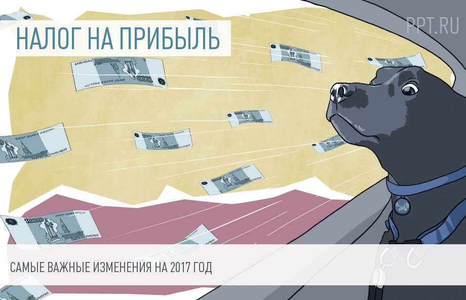 Новые организации 2019