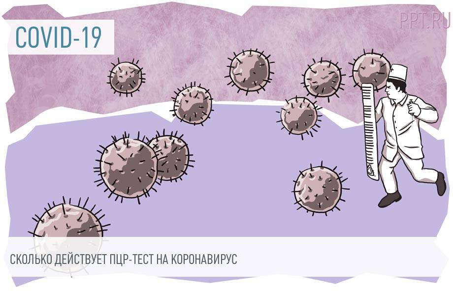 Срок годности сертификата вакцинации от коронавируса для египта