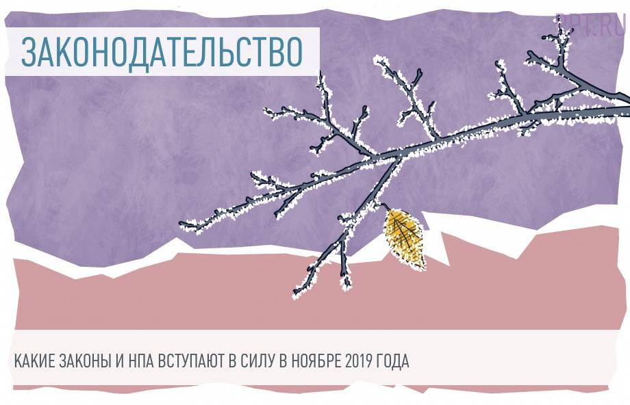 Мфо 2022 Года Новые Законы Мфо 2022 Года Новые Законы